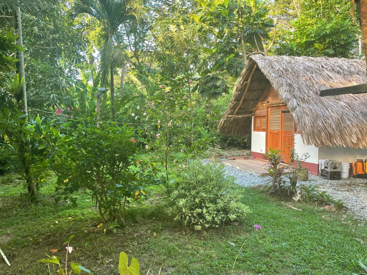Cabanas Tucan Eco Hotel Capurganá Exterior photo