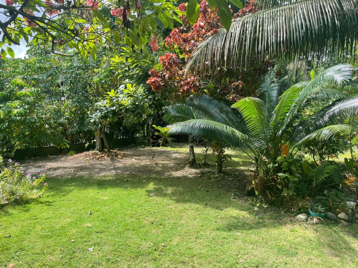 Cabanas Tucan Eco Hotel Capurganá Exterior photo