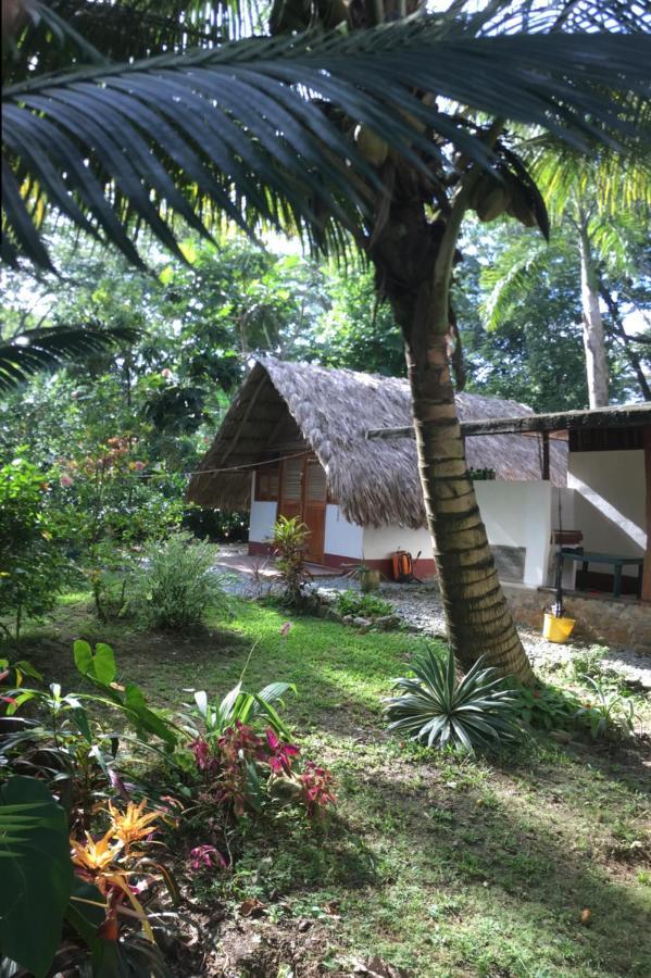 Cabanas Tucan Eco Hotel Capurganá Exterior photo